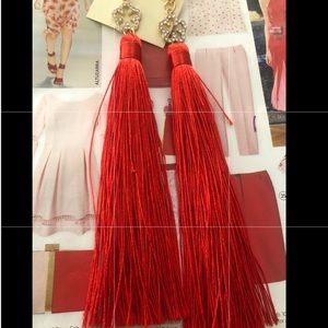 Long Tassel Earrings